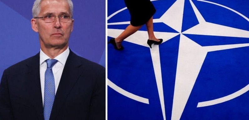 NATO cracks exposed: Call for members to be KICKED OUT as alliance ‘only inch deep’