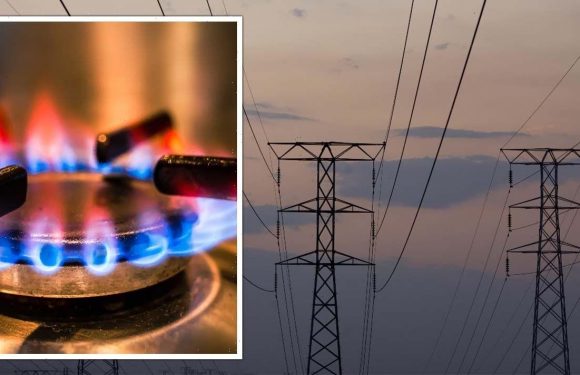 National Grid warns of blackout ‘risk’ as UK forced to import EU energy to keep lights on