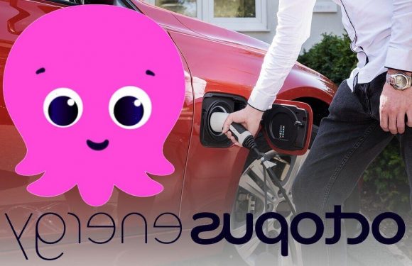 Octopus Energy launches ‘game-changing’ scheme for millions to save £3,775 on fuel bill