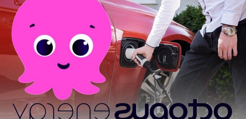 Octopus Energy launches ‘game-changing’ scheme for millions to save £3,775 on fuel bill
