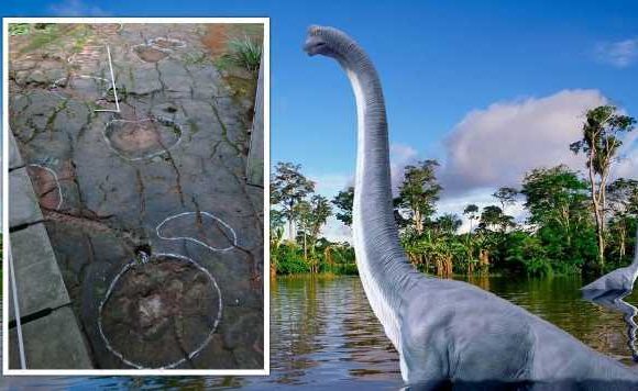 Palaeontologists stunned after discovering footprints from ‘world’s largest’ dinosaur
