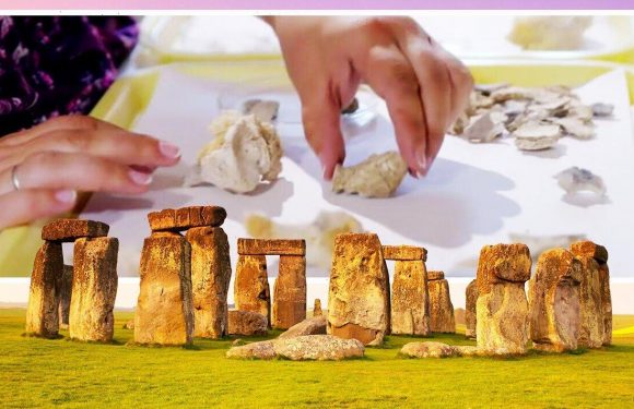 Stonehenge breakthrough as ‘elite cemetery’ test results ‘rewrite’ story of megalith
