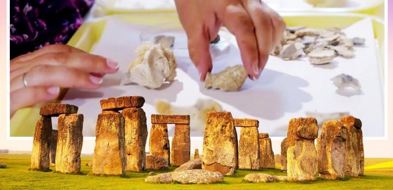Stonehenge breakthrough as ‘elite cemetery’ test results ‘rewrite’ story of megalith