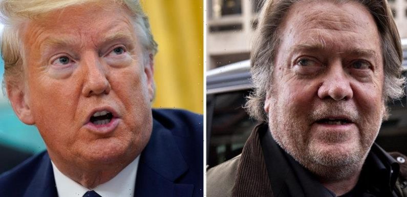 Trump’s ex-adviser Steve Bannon convicted of contempt of US Congress