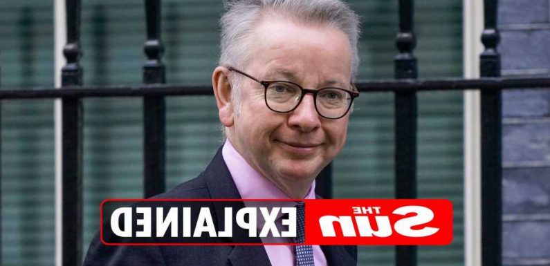 Who is Michael Gove and why was he sacked by Boris Johnson? – The Sun | The Sun