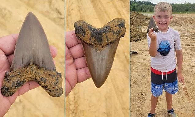 Boy, 8, finds huge tooth from prehistoric shark in South Carolina