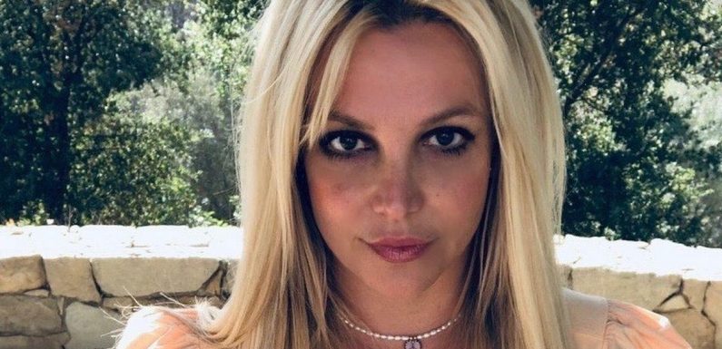 Britney Spears claims people watched her shower and ‘took huge amounts of blood’