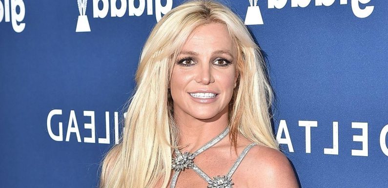 Britney Spears ‘couldn’t look after herself or her kids’, says ex-bodyguard