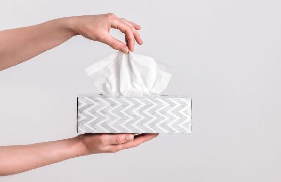 Don’t throw away tissue boxes – they make the best kitchen storage & your plastic bags will never get out of control | The Sun