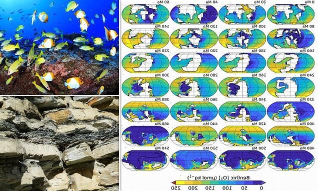 Earth's shifting continents could WIPE OUT marine life, study warns