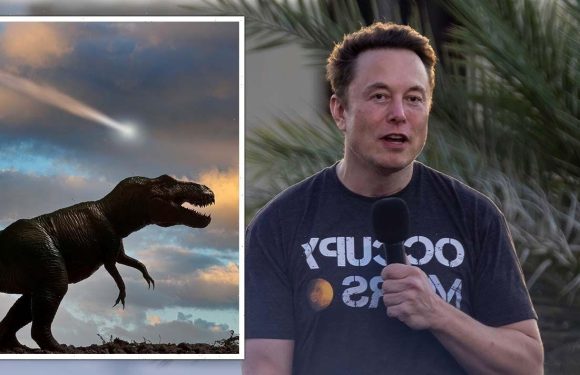 Elon Musk in end of the world warning: ‘Just a matter of time’
