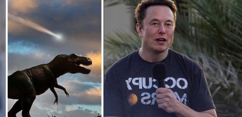 Elon Musk in end of the world warning: ‘Just a matter of time’