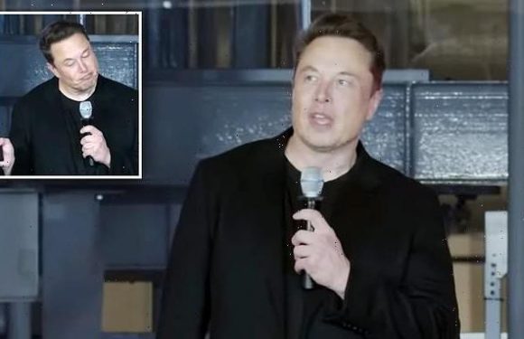 Elon Musk says Tesla will succeed even if he 'was kidnapped by aliens'