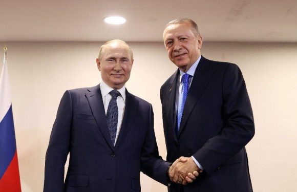 Erdogan and Putin deal huge EU blow and outsmart bloc – Turkey hands Russia rubles for gas