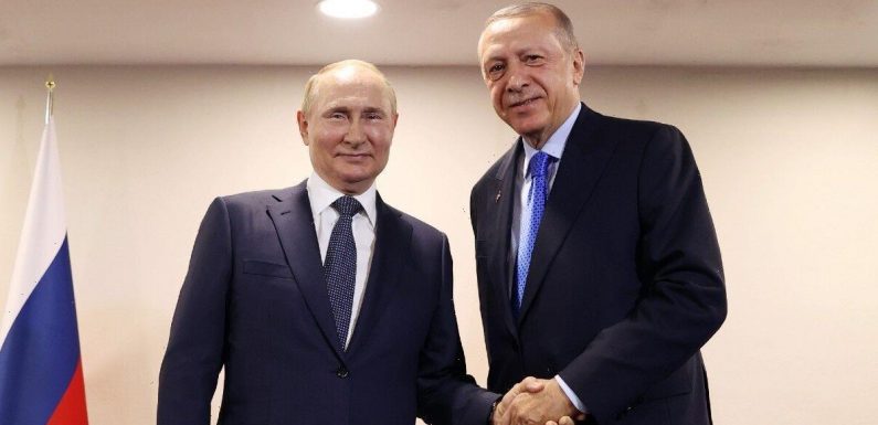Erdogan and Putin deal huge EU blow and outsmart bloc – Turkey hands Russia rubles for gas