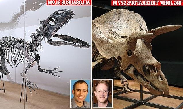 Experts blast auction houses for letting super rich buy dinosaur bones