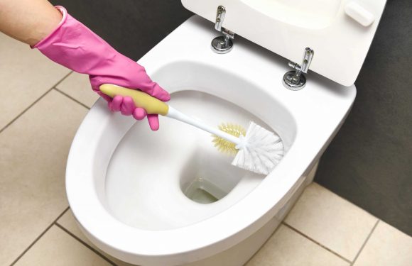 I'm a cleaning whizz – the no-scrub toilet hack that will avoid stains & nasty odours & all you need is one ingredient | The Sun