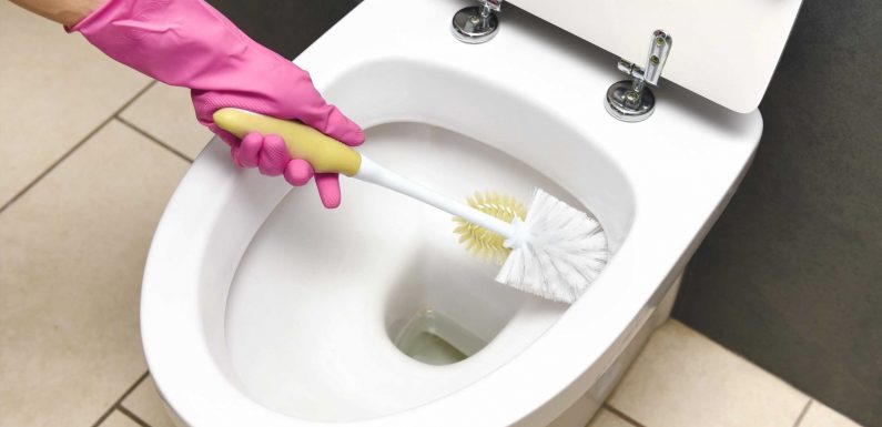 I'm a cleaning whizz – the no-scrub toilet hack that will avoid stains & nasty odours & all you need is one ingredient | The Sun
