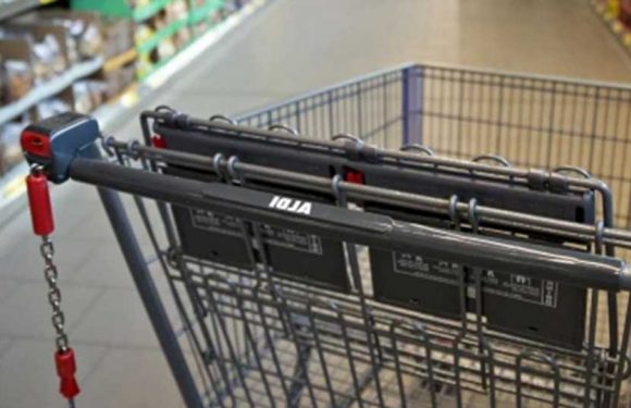 I'm a shopping expert – how you can still get a cart even if you forget your quarters at Aldi | The Sun