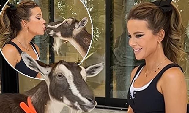 Kate Beckinsale beams as a goat takes a treat from her mouth