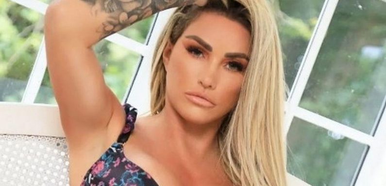 Katie Price puts on eye-popping display in lingerie for raunchy bedroom snaps
