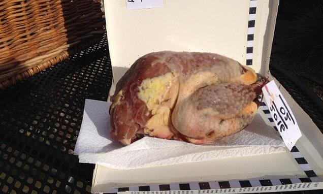Pheasant meat on sale in butchers shops is found to contain toxic LEAD