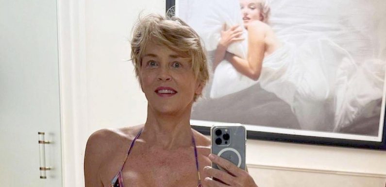 Sharon Stone fans beg actress, 64, to ‘never wear clothes again’