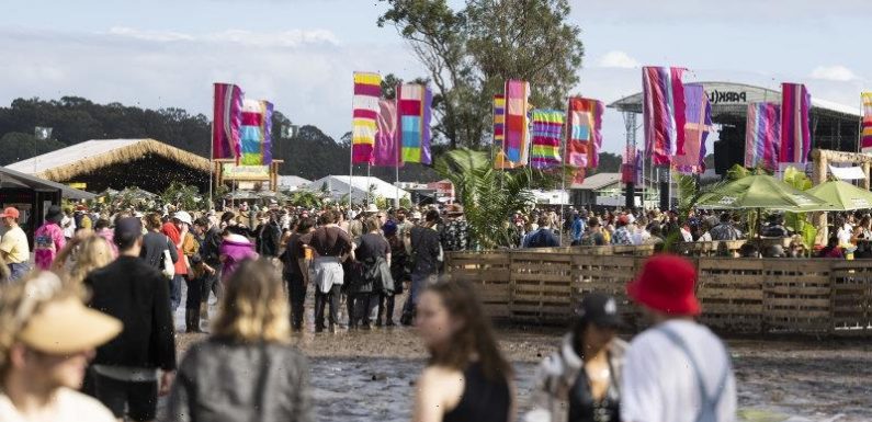 Splendour in the Grass patrons urged to watch for signs of meningococcal after festivalgoer dies