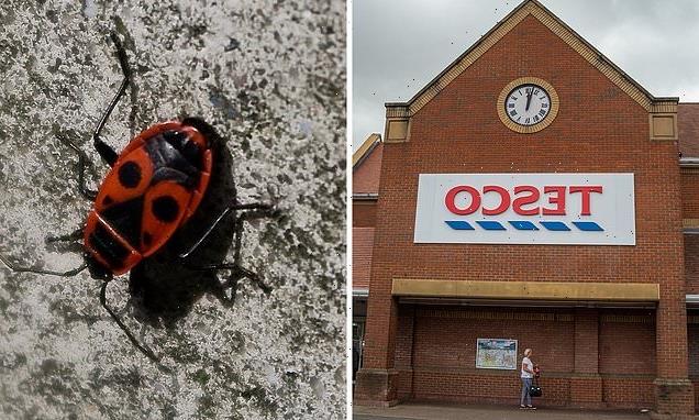Tesco faces backlash for selling non-vegan FRUIT with wax from bug