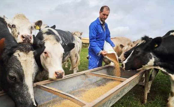 Vegan ‘beef’ threatens 1.5 million farming jobs as woke ditch meat to save planet