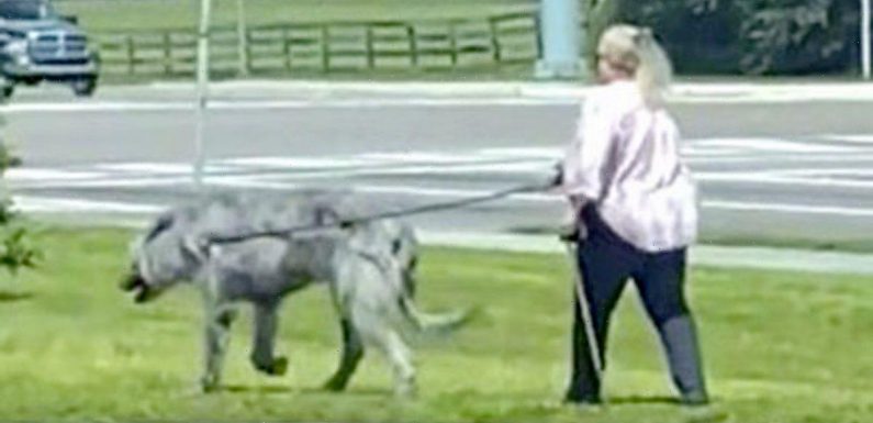 Woman walking ‘giant mutant beast’ sparks real-life Game of Thrones wolf rumours