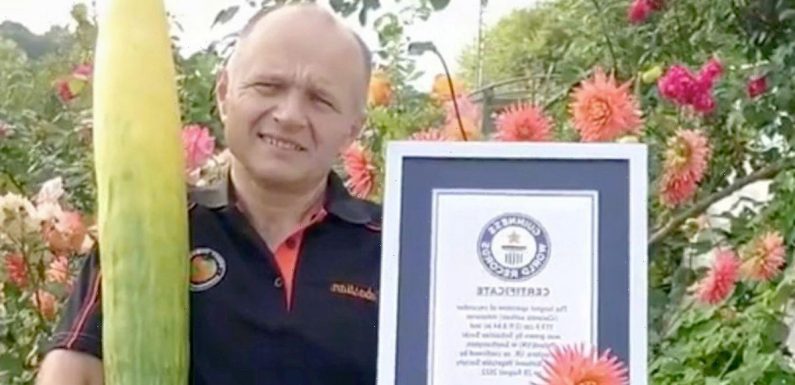 World’s longest cucumber record smashed by green fingered gardener in UK