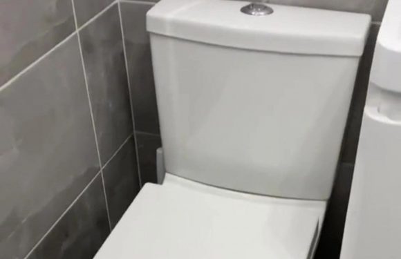 You’ve been cleaning your toilet all wrong – the right way will cut cleaning time in half & all you need is toilet roll | The Sun