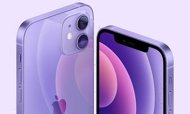 iPhone 13 rumoured to come in purple, have bigger camera bump and more
