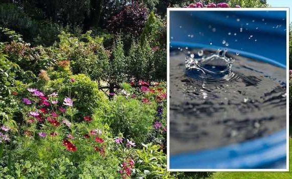 ‘Simple’ tips to get your garden ‘rain ready’ as heavy showers ‘may not reach plants’