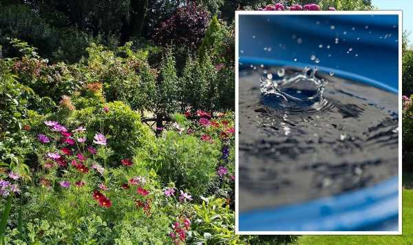 ‘Simple’ tips to get your garden ‘rain ready’ as heavy showers ‘may not reach plants’