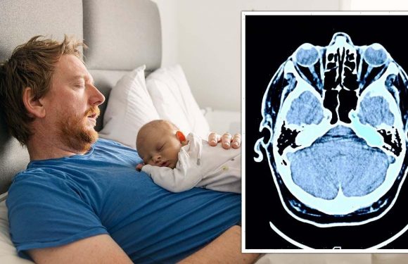 Brain Shrinkage: First-time fathers warned as brains may get SMALLER