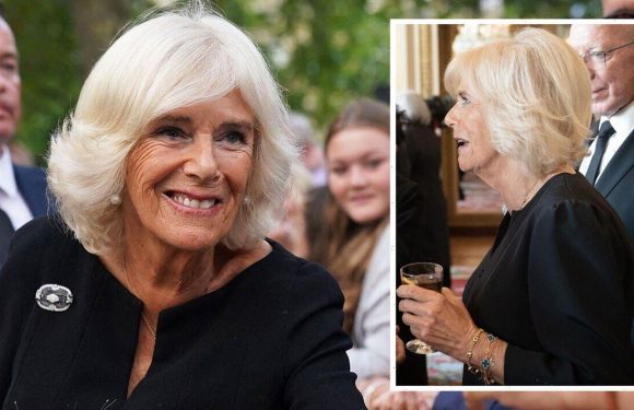 Camilla Queen Consort debuts subtle hairstyle change – pictures