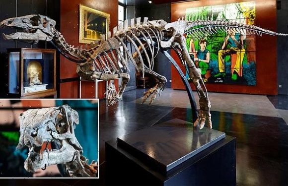 Experts in fury about dinosaur skeleton set for  auction next month