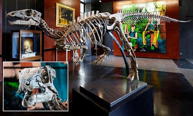 Experts in fury about dinosaur skeleton set for  auction next month