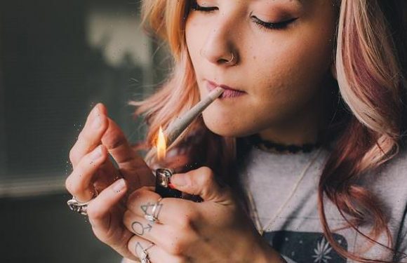 Forget the stereotypical stoner! Cannabis users are NOT, study finds