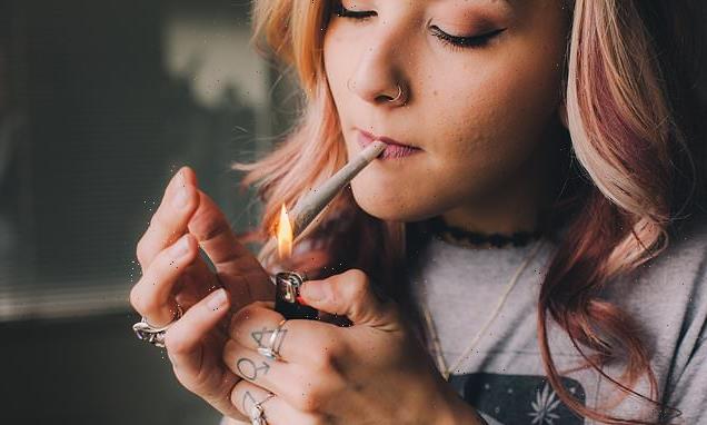 Forget the stereotypical stoner! Cannabis users are NOT, study finds