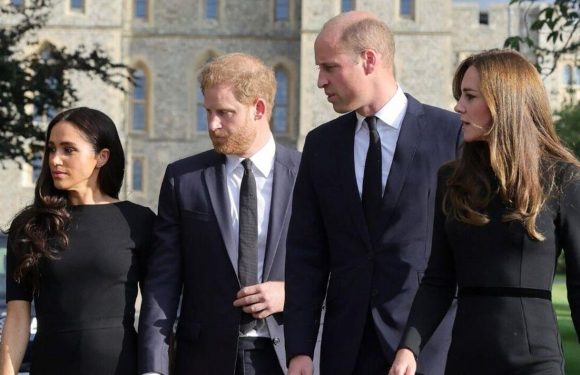 Harry and Meghan need to return to Royal life, claims expert