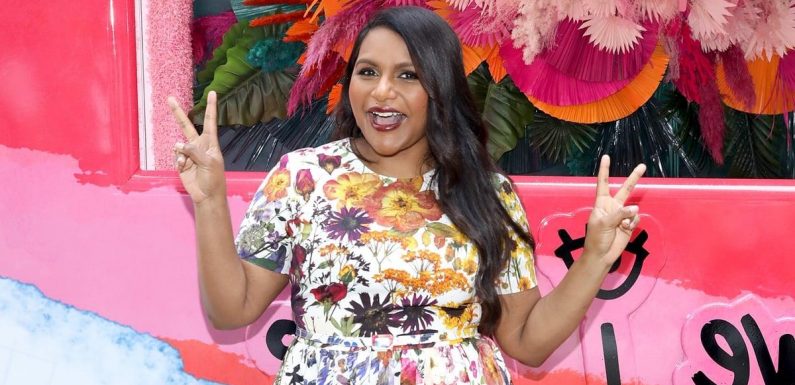 Here's Everything We Know About Mindy Kaling's 2 Kids, Katherine and Spencer