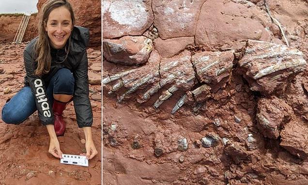 High school teacher finds300-million-year-old fossil in Canada