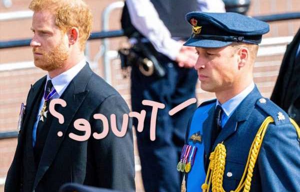 How The Queen's Funeral Finally Gives Prince Harry & William An 'Opportunity To Heal' – For Real!