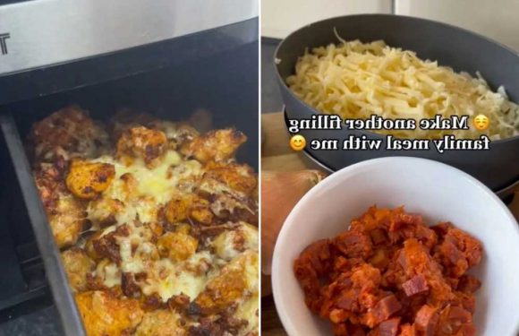 I made a full meal for a family of four in an Air Fryer and it only cost me £5 | The Sun