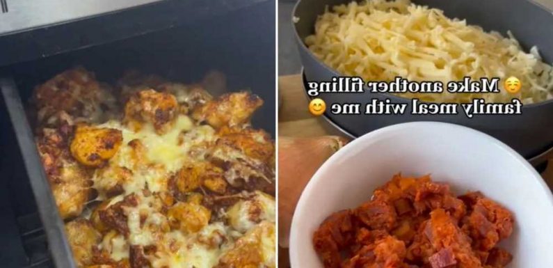 I made a full meal for a family of four in an Air Fryer and it only cost me £5 | The Sun