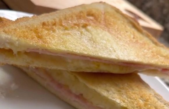 I made a toastie in my Air Fryer and it was perfection – I’ll never make one another way | The Sun