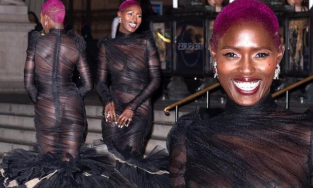 Jodie Turner-Smith shows incredible figure in VERY sheer  gown